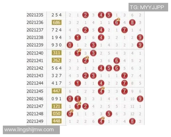 武汉乒乓球队速度对比独家分析揭示训练与比赛的关键差异