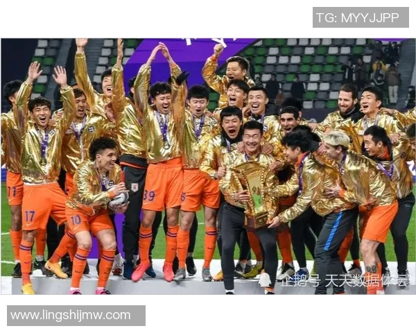 成都街舞队意识表现的深度数据分析与文化探讨