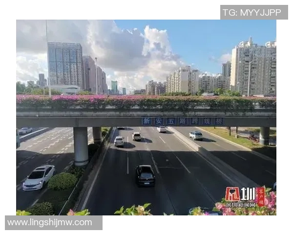 深圳乒乓球队技术水平跃升至新高峰引发广泛关注与赞誉