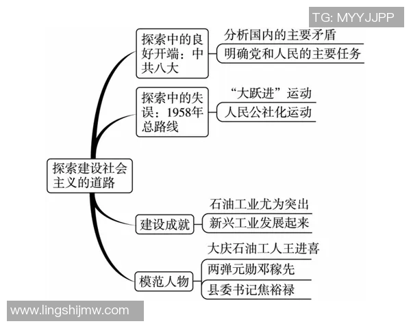 上海排球队运营模式创新探索与发展路径分析