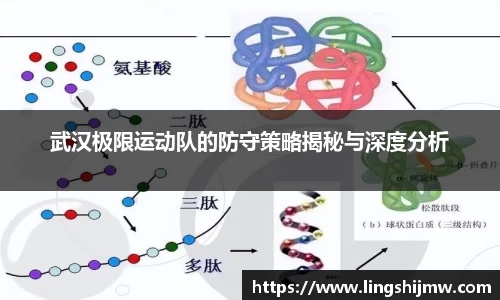 武汉极限运动队的防守策略揭秘与深度分析